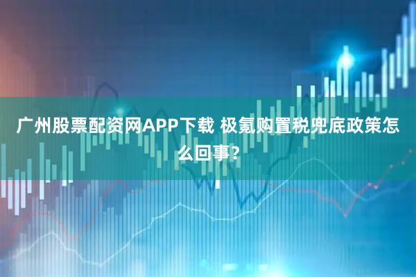 广州股票配资网APP下载 极氪购置税兜底政策怎么回事？