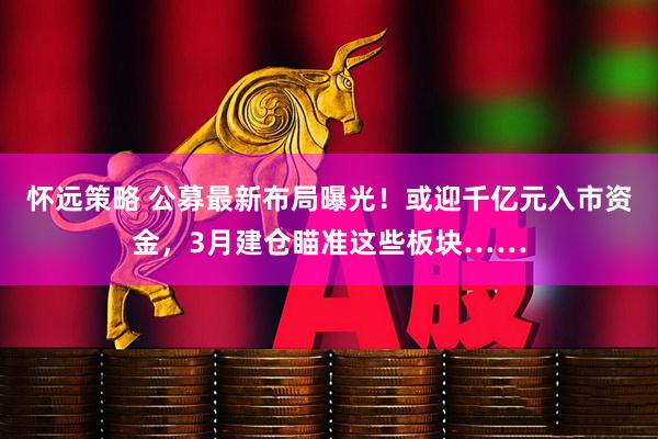 怀远策略 公募最新布局曝光！或迎千亿元入市资金，3月建仓瞄准这些板块……