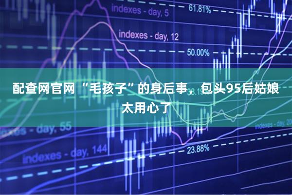 配查网官网 “毛孩子”的身后事，包头95后姑娘太用心了